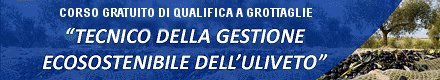 TECNICO DELLA GESTIONE ECOSOSTENIBILE DELL’ULIVETO